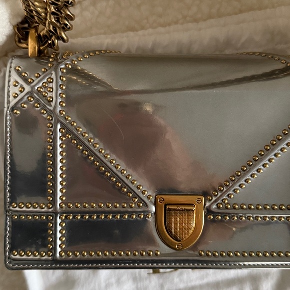 Diorama Calfskin Bag - Picture 11 of 12